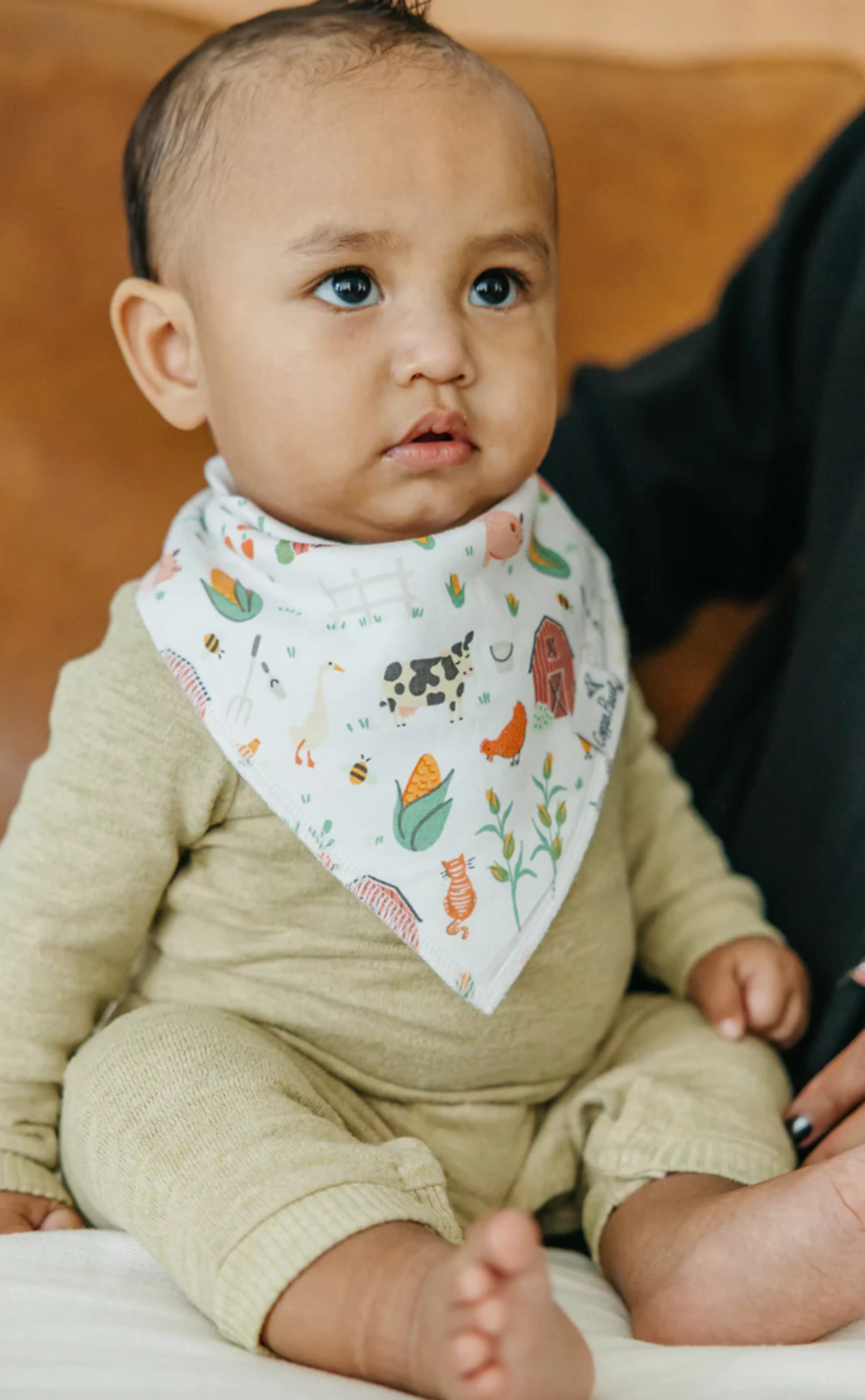 Farmstead Bandana Bib Set (4-Pack) | Copper Pearl