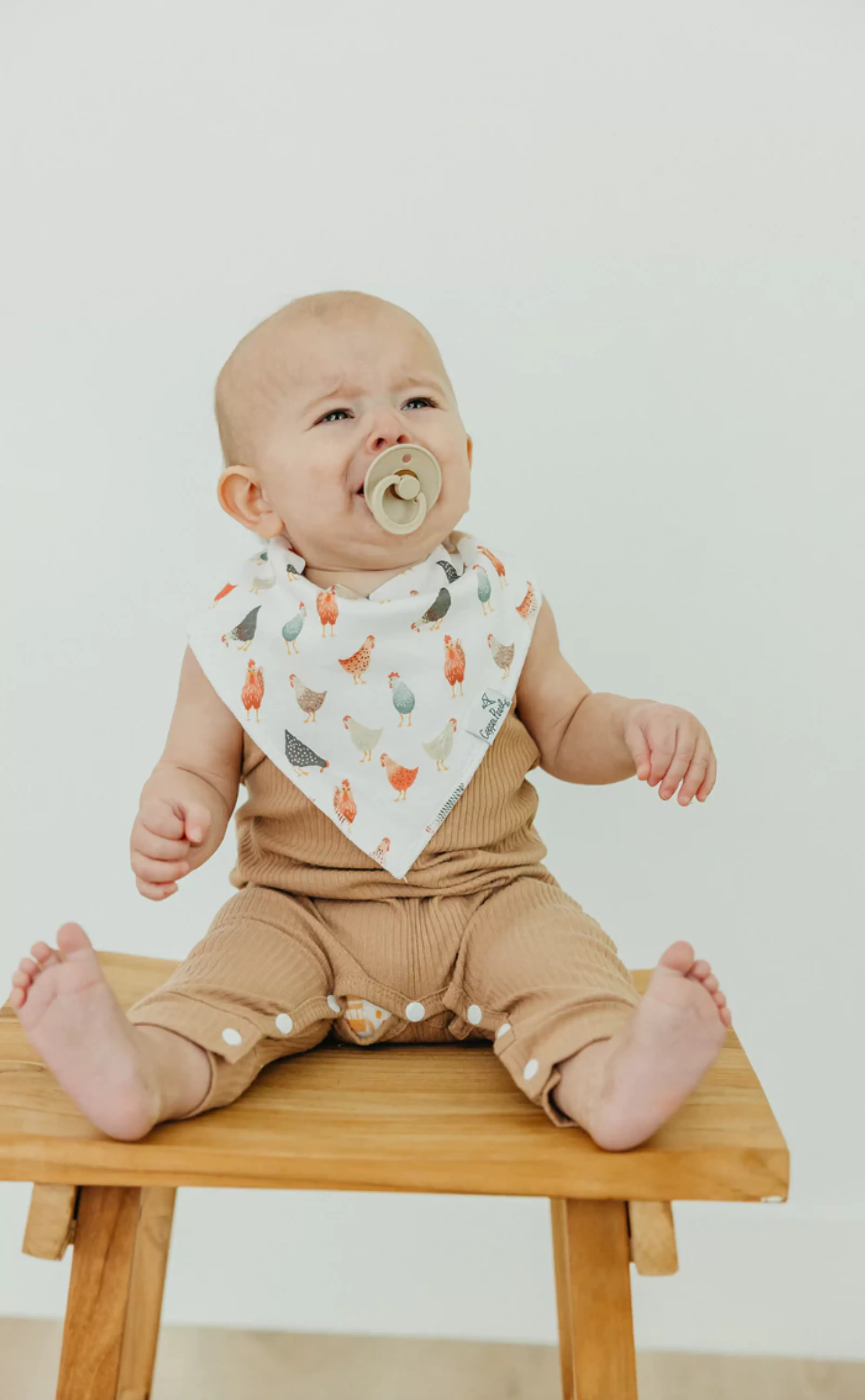 Farmstead Bandana Bib Set (4-Pack) | Copper Pearl