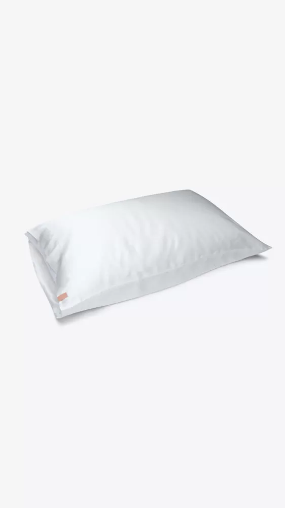 Washable Silk Pillowcase - Tranquil White