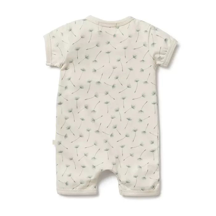 Wilson & Frenchy Organic Boyleg Zipsuit - Float Away